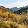 Sabino Canyon