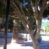Glendale Public Library Main Branch