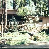 Payson Mountain Homes