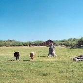 Skull Valley Agriculture