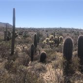 Greasewood Park