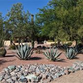 Old Pueblo Cellars
