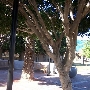 Glendale Public Library Main Branch