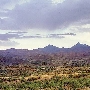 Nogales- Arizona Landscape