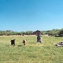 Skull Valley Agriculture