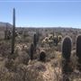 Greasewood Park