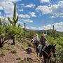 Colossal Cave Mountain Park