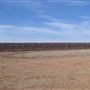 Callaghan Vineyards