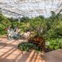 Butterfly Wonderland A Rainforest Experience