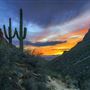 Sabino Canyon