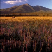 San Francisco Peaks