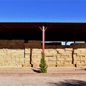 Glover Ranch