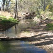 San Pedro River