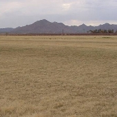 Queen Creek Grasslands