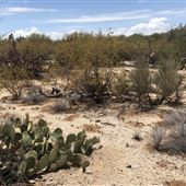 Case Natural Resource Park