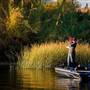 Lake Havasu -  the fishing