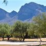 Canada Del Oro Riverfront Park