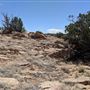 Eagle Point Ranch