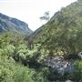 Sabino Canyon