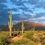 McDowell Mountain Regional Park