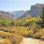 Sabino Canyon