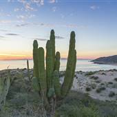 Kino Bay (Bahia Kino) (SONORA, MEXICO)
