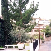Nogales- Mexico Park