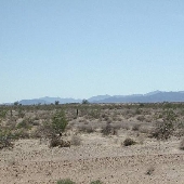 Quartzsite (DUPLICATE TBD)