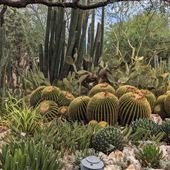 Tucson Botanical Gardens