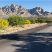 Catalina State Park