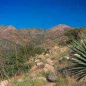 Kartchner Caverns State Park