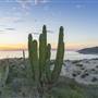 Kino Bay (Bahia Kino) (SONORA, MEXICO)