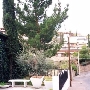 Nogales- Mexico Park
