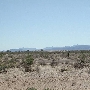Quartzsite (DUPLICATE TBD)
