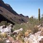 Sabino Canyon
