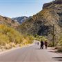 Sabino Canyon