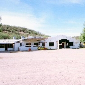 Fort Apache