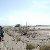 Sacaton Mine