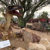 Civano Nursery