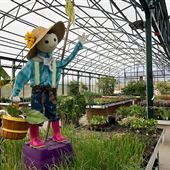 Mesquite Valley Growers