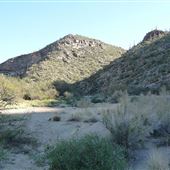 Wild Burro Canyon in Marana