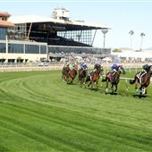 Turf Paradise