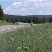 Flagstaff - Roadways