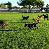 Countryside Park