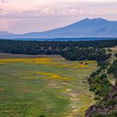 Mormon Lake