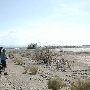 Sacaton Mine