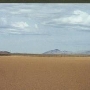 Red Lake Playa - Mohave County