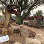 Civano Nursery