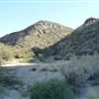Wild Burro Canyon in Marana