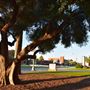 University of AZ Campus
